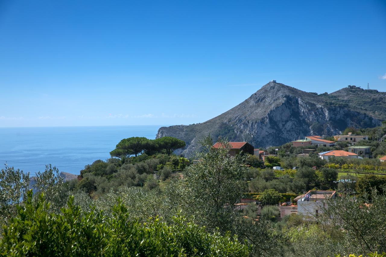 Villa Caprile Massa Lubrense Exterior photo